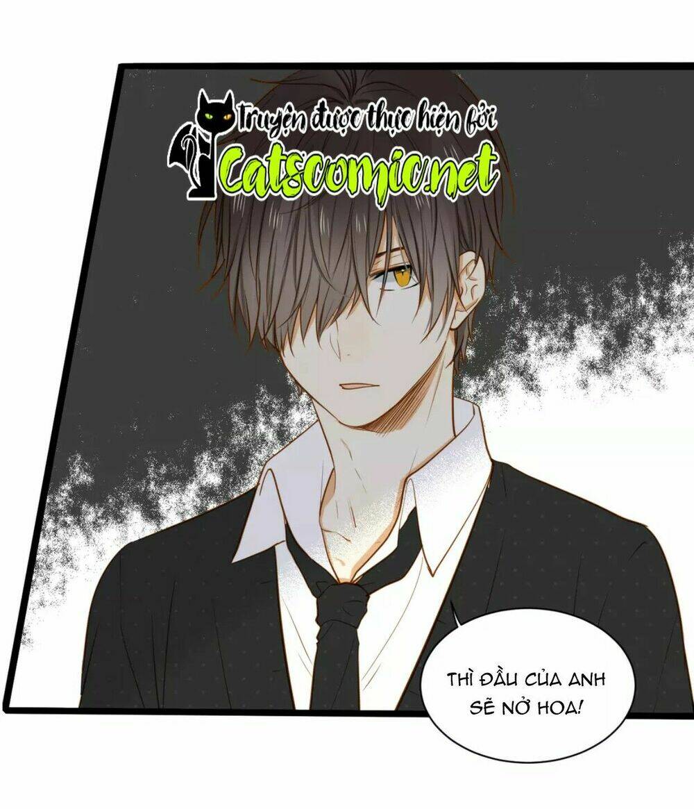 điều giáo quan hệ chapter 19 5