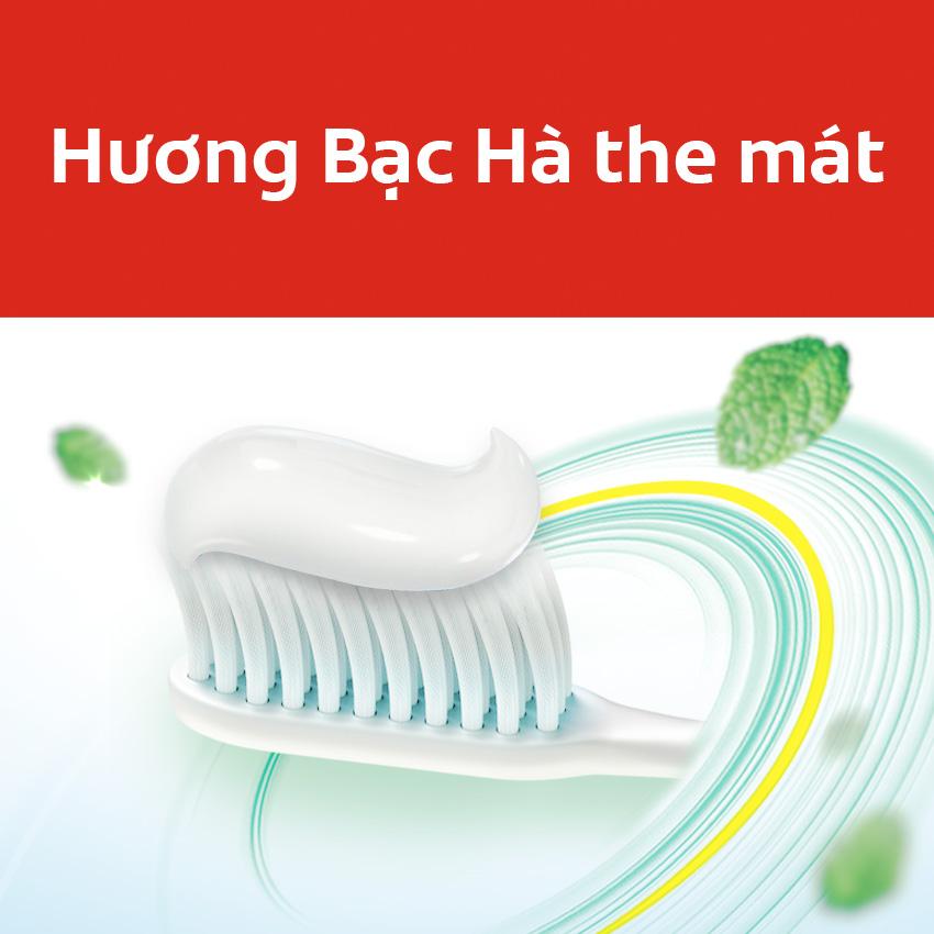 Bộ 3 kem đánh răng Colgate ngừa sâu răng răng chắc khỏe 225g/ tuýp tặng bàn chải lông tơ cao cấp Thái Lan