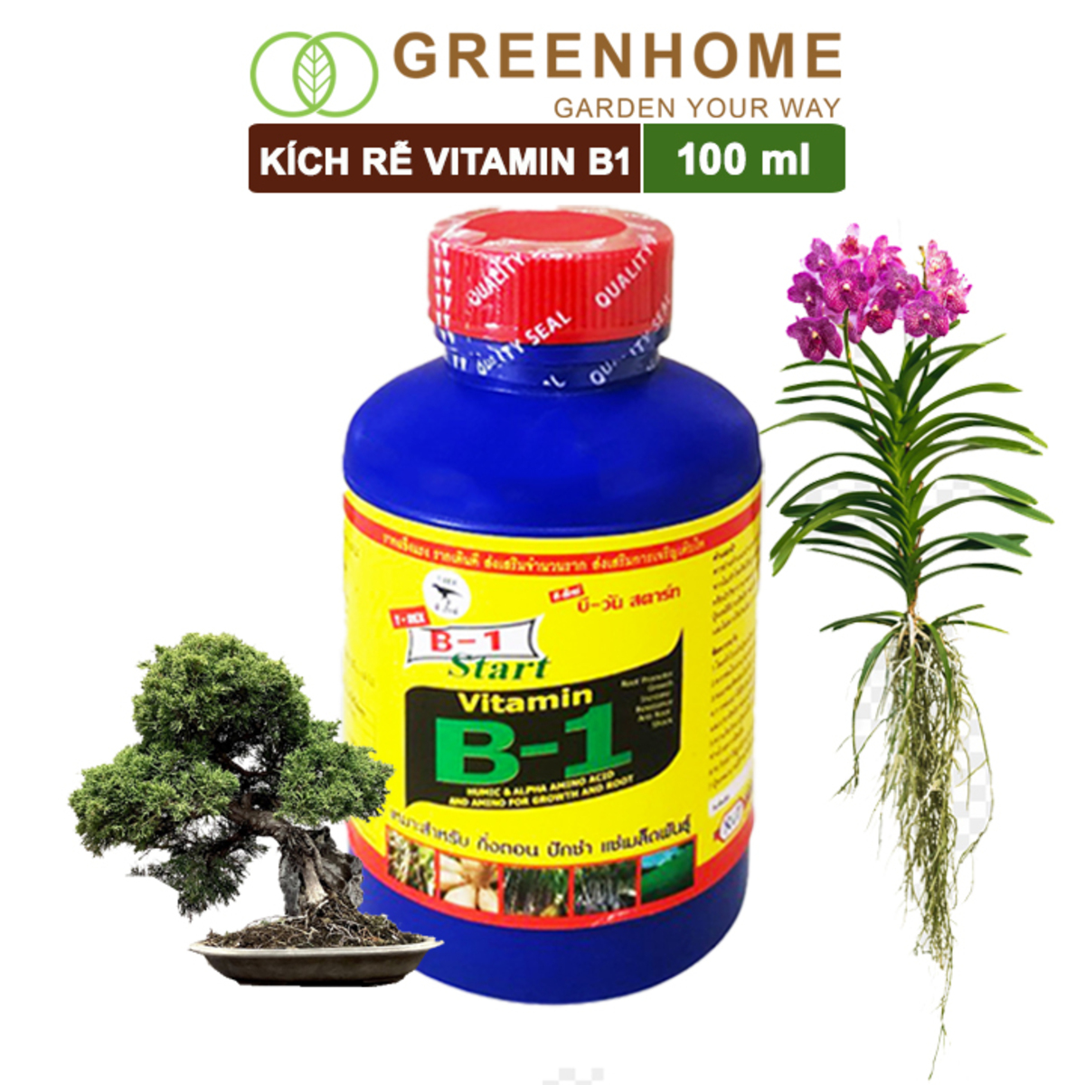 Phân kích rễ Greenhome, b1, chai 100ml, tạo mầm, rễ khoẻ, sai hoa