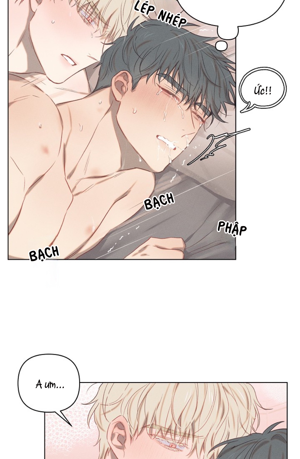 nơi tình yêu định mệnh chapter 11 43