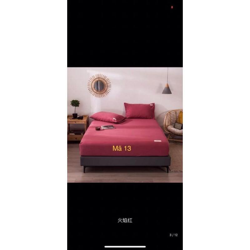 ️️ RẺ VÔ ĐỊCH ️️Bộ Ga Gối Cotton Tici Loại 1