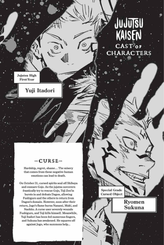 Jujutsu Kaisen 14 (English Edition)