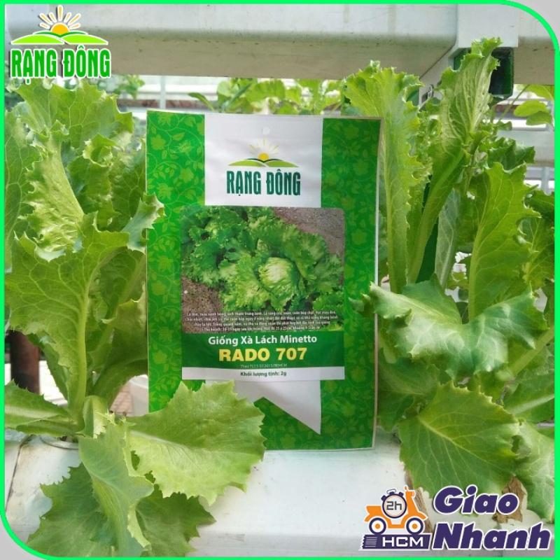 Hạt giống Xà Lách Cuộn, Xà Lách Mỹ Minetto - Hạt Giống Rạng Đông