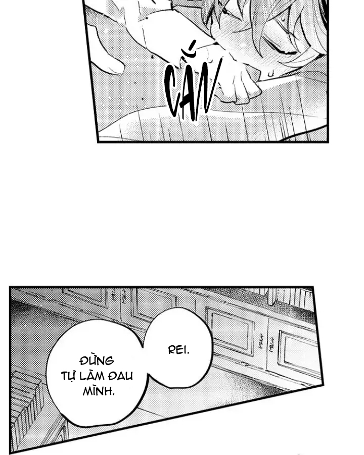 tiếng gọi của tình yêu sau trải nghiệm cận tử chapter 29 27