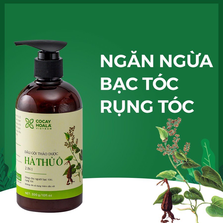 Hà Thủ Ô Chai Lớn 450g