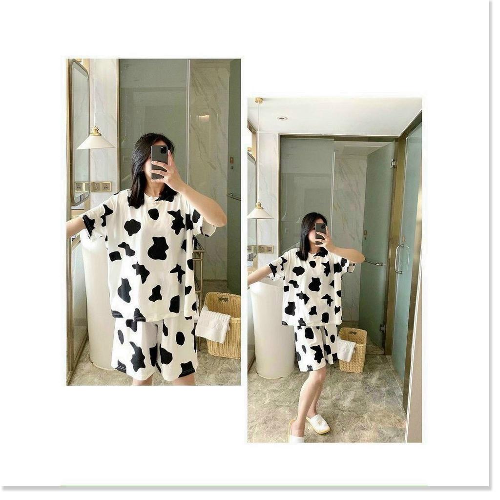 Đồ bộ bò sữa thun Cotton cực xinh cho các bạn trẻ KME FASHION