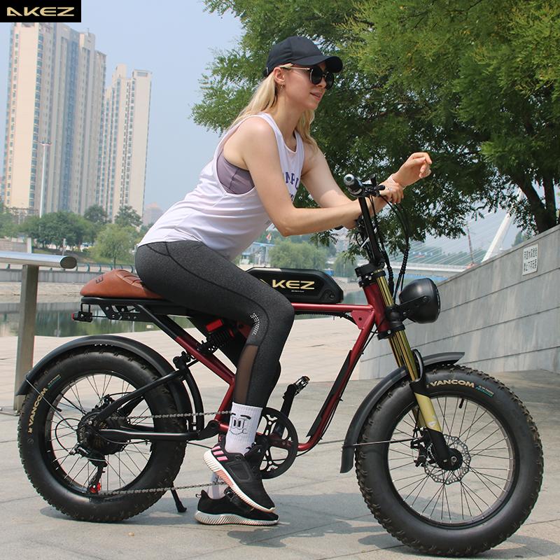 Bike điện 20 inch điện Color: Black dual battery