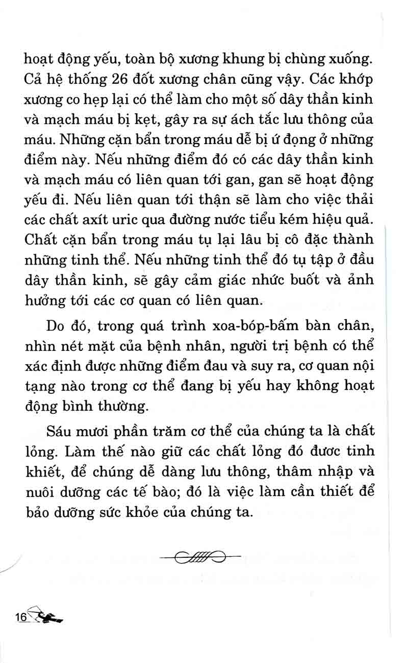 Bấm Huyệt Bàn Chân - VL