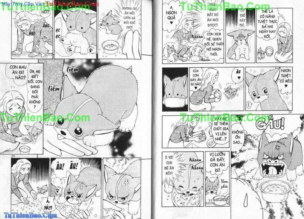 chó con mo mo chapter 3 16