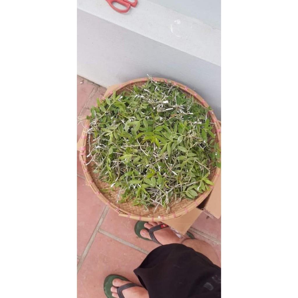 Thiên cung lữ bố hàng kie