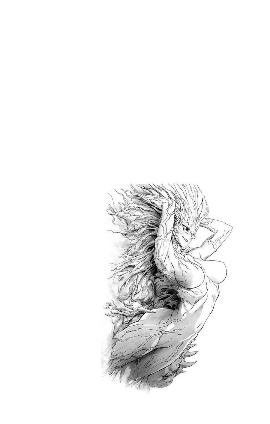 one-punch man chapter 234.5 15