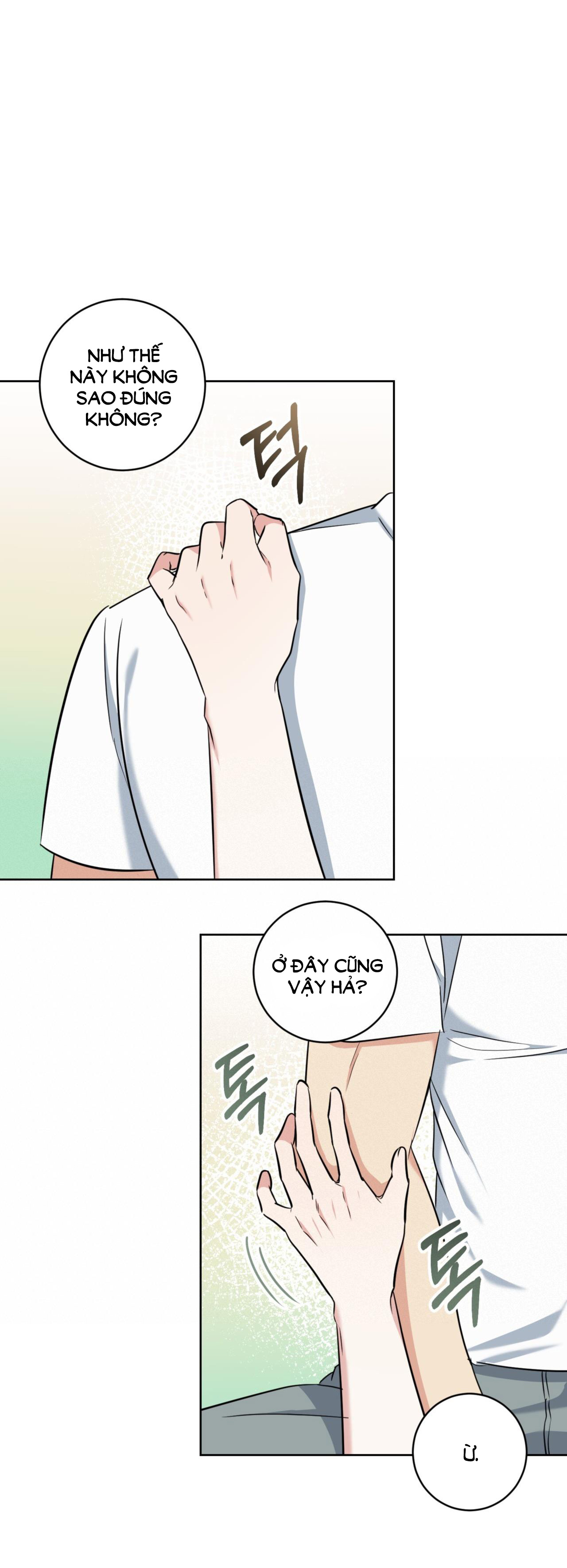 Khu Rừng Dịu Dàng chapter 5.2 - Trang 3