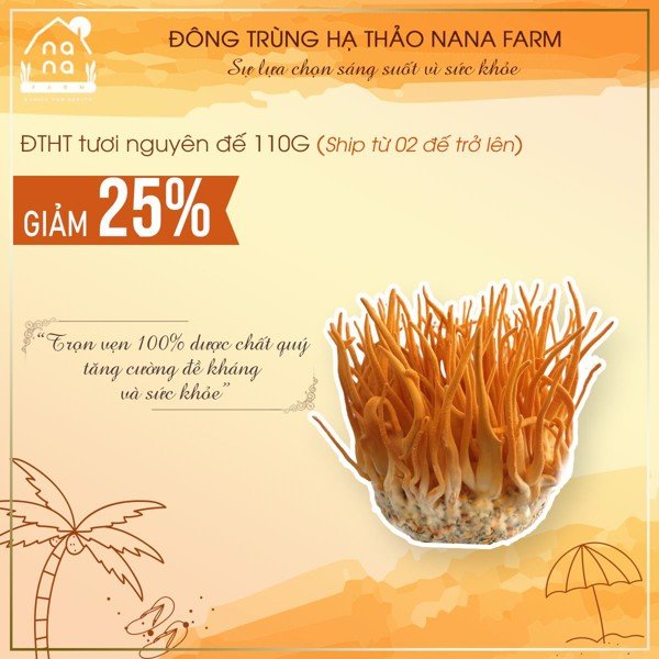 Đông trùng hạ thảo tươi nguyên đế (110g)