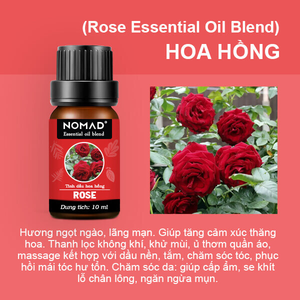 Tinh Dầu Hoa Hồng Nomad Rose Essential Oil Blend