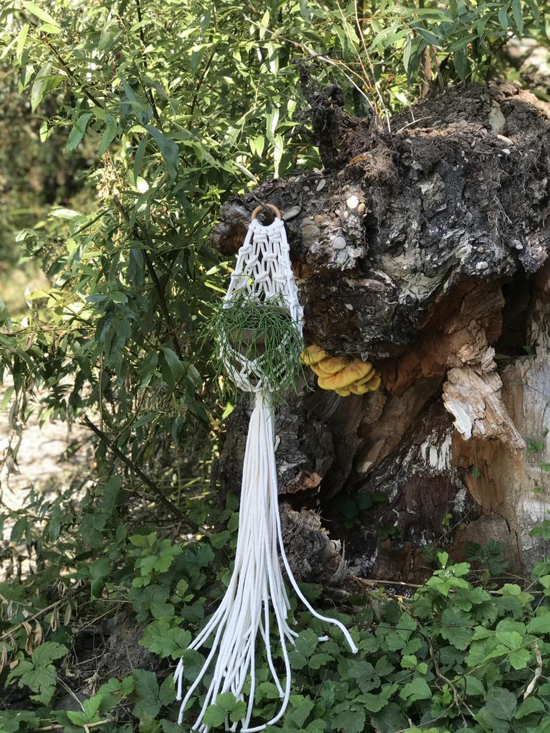 Giỏ Macrame treo chậu cây cảnh, trang trí treo tường kết hợp vòng gỗ nâu. Phong cách Boho. GTT17321