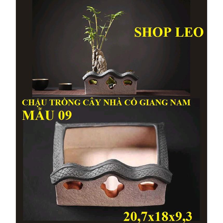 CHẬU TRỒNG CÂY NHÀ CỔ GIANG NAM - SET HỒ THỦY SINH - BÁN CẠN - TIỂU CẢNH