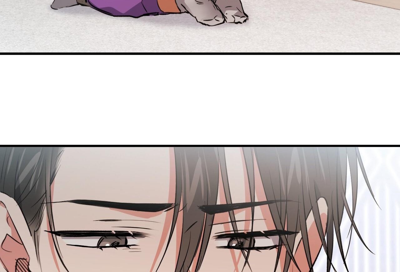 những chú thỏ của hapypy chapter 61 87