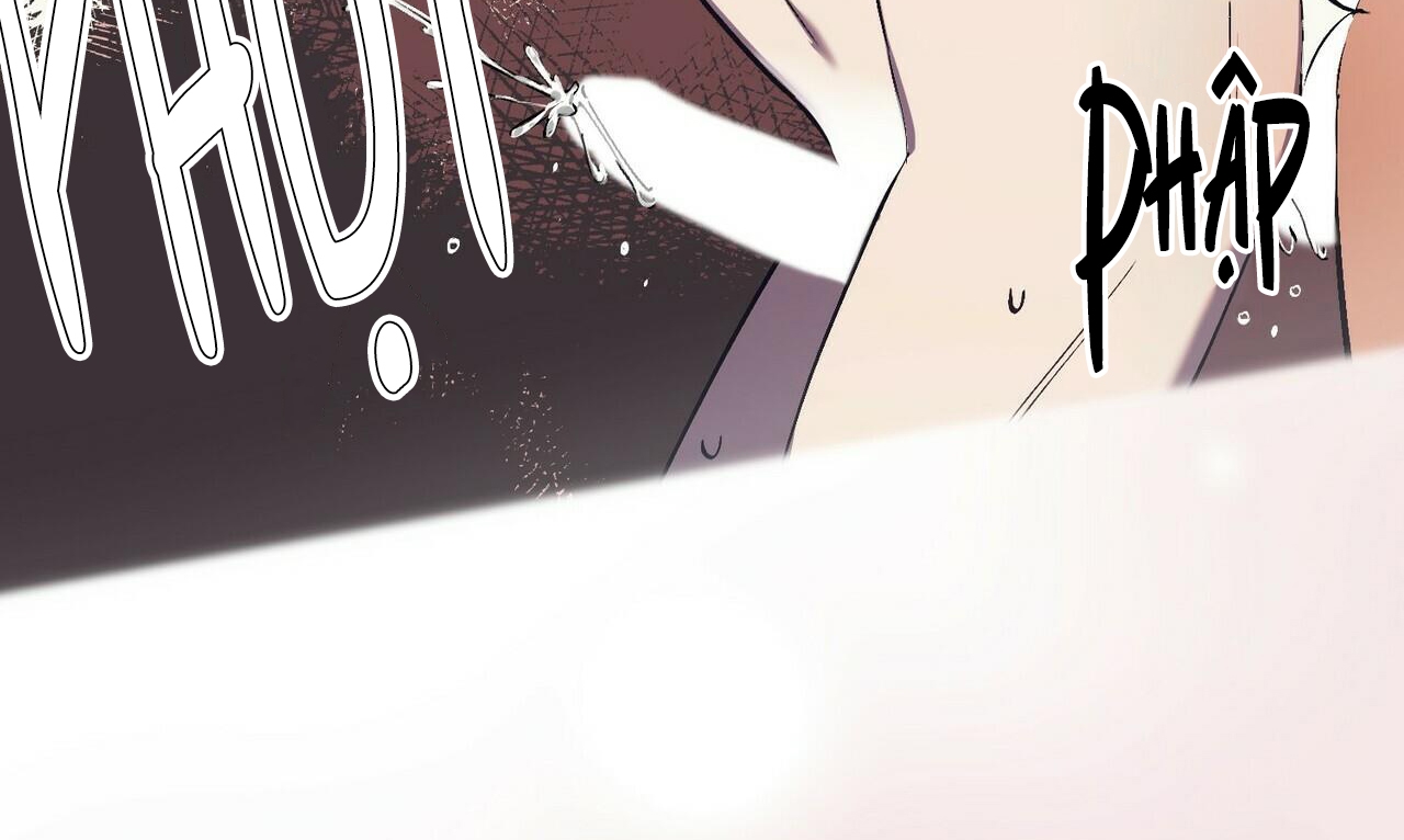 chàng dâu nhà họ kang chapter 17 153