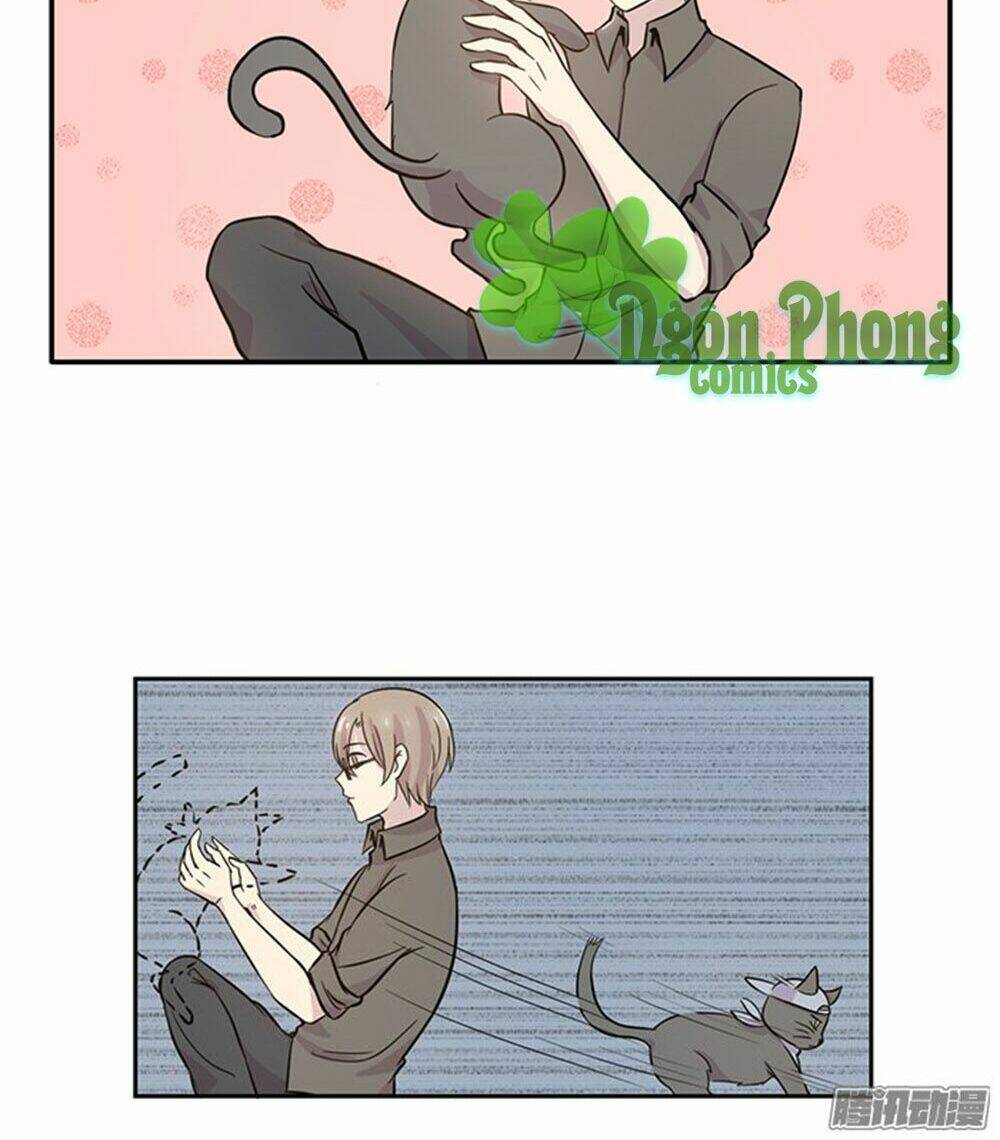 hai chú mèo totem chapter 16 8