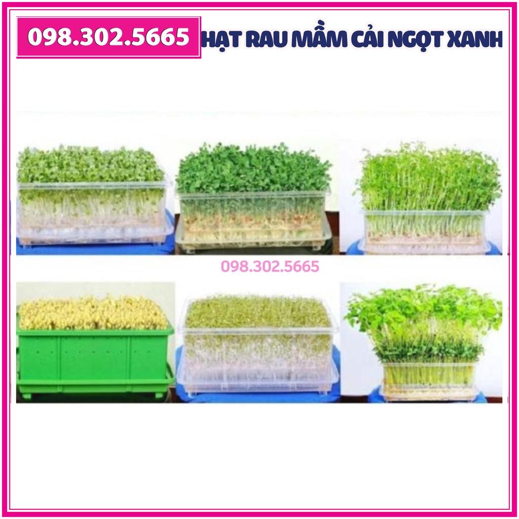 Hạt giống rau mầm rau cải ngọt Xanh - gói 50g - hạt chất lượng tốt, nảy mầm đồng đều