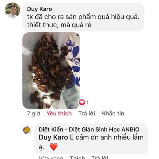 Combo 3 Lọ Thuốc Diệt Kiến, Thuốc Diệt Gián Anbio