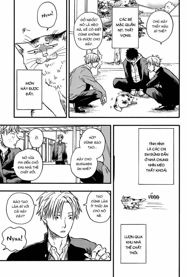 tui là busamen! chapter 1 11