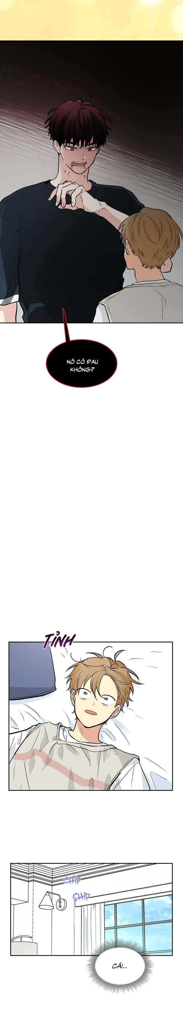 lỡ hàng xóm nhà bên là ma cà rồng thì sao?! chapter 1 19