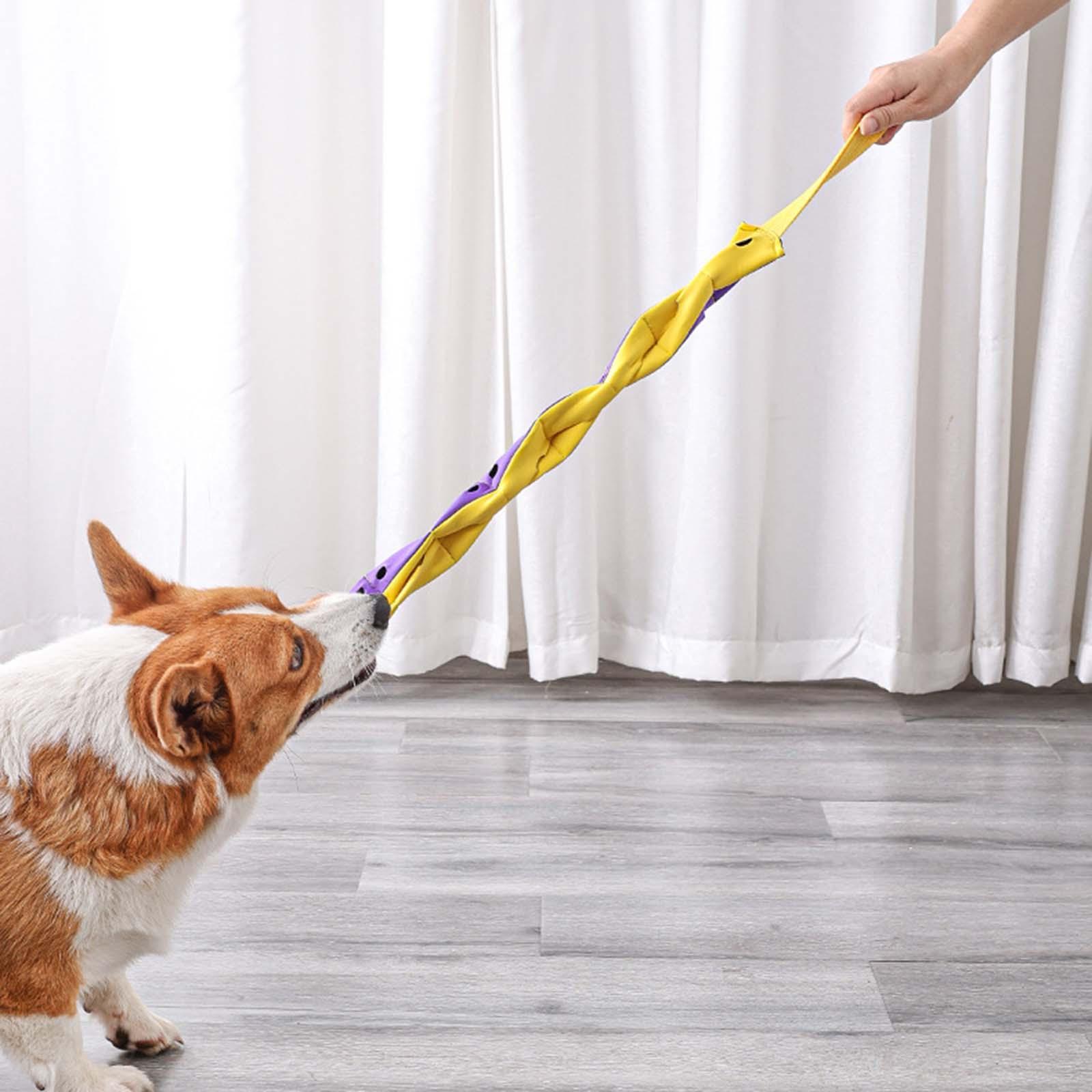 Dog Sniffing Toy Foraging Instinct Training Dog Feeding Toy Game