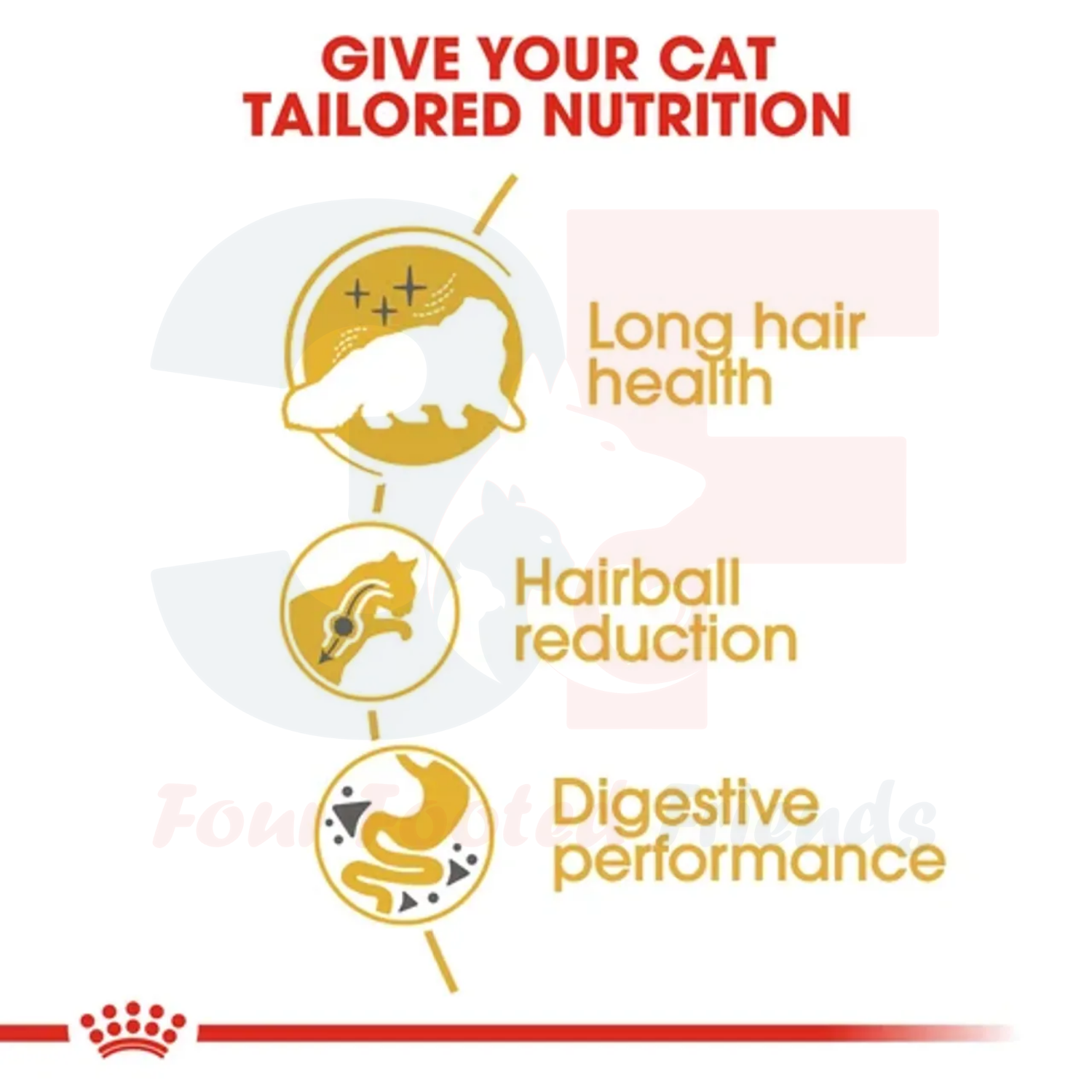 Thức Ăn Cho Mèo Ba Tư Trưởng Thành Royal Canin Persian Adult