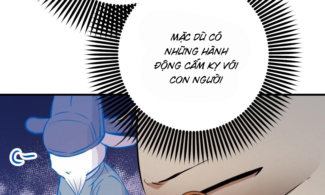 những chú thỏ của hapypy chapter 56 253