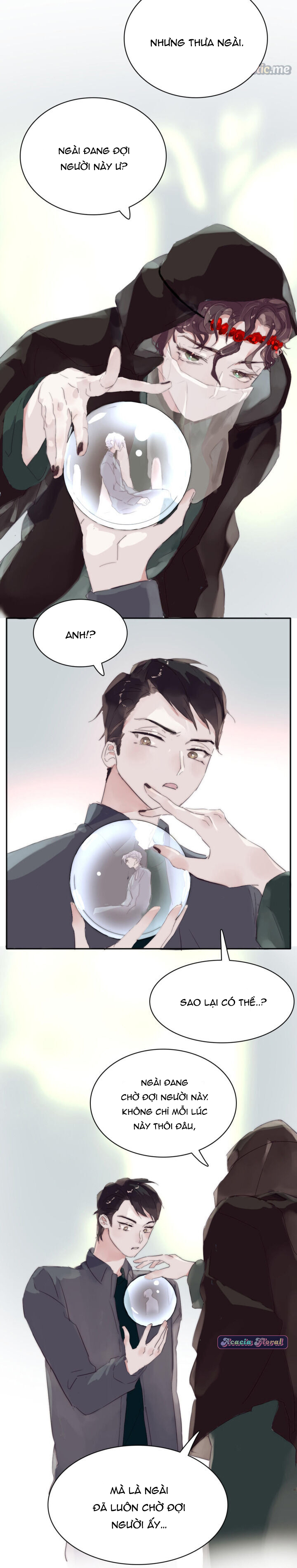 ngủ mê trong trang sách của tôi chapter 11 13