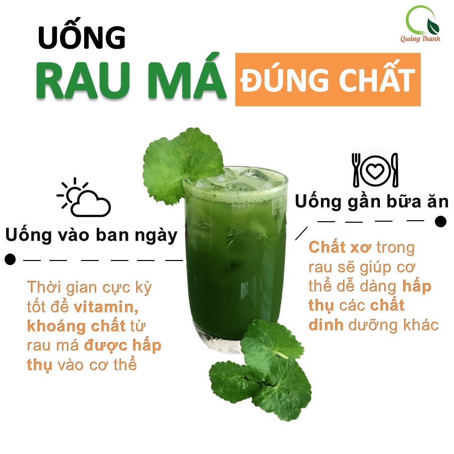 Bột rau má sấy lạnh Quảng Thanh, bịch 50gr - Giải độc, mát gan, thanh nhiệt cơ thể, giảm mụn, đẹp da