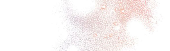 tôi tưởng bản thân không còn sống được bao lâu! chapter 45.1 34