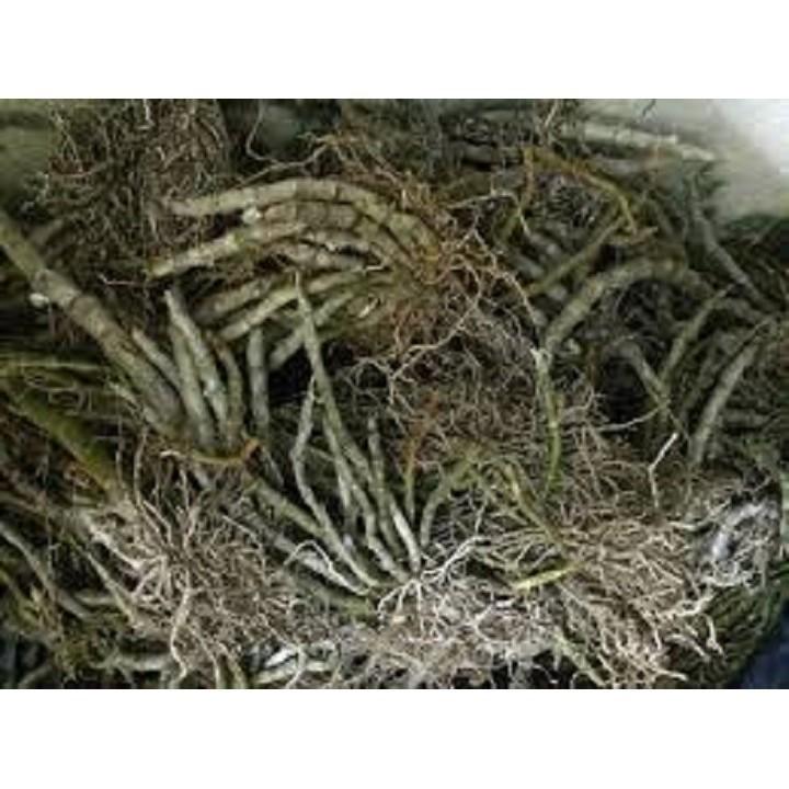 Sản Phẩm Hoa lan - trầm tím lào