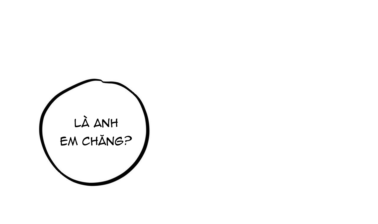 đàn thỏ của habibi chapter 39 111