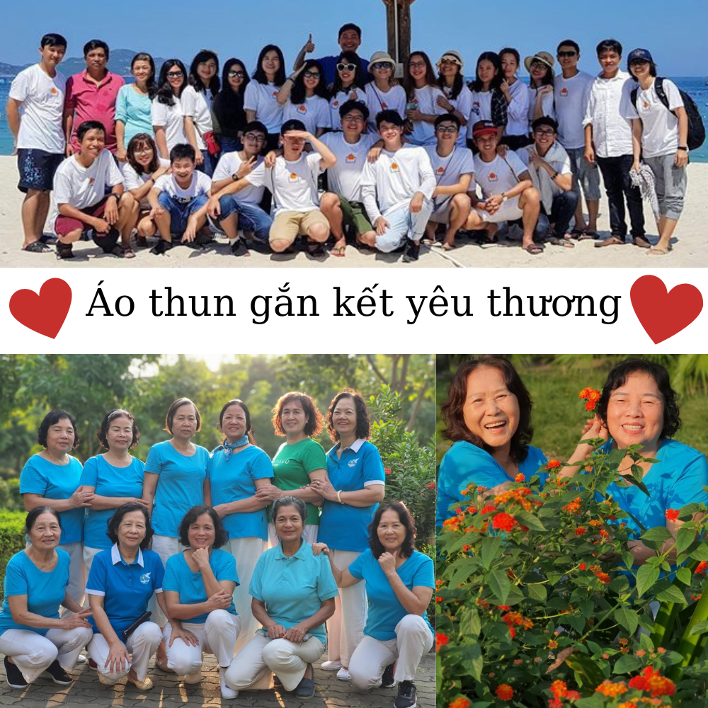 Áo Thun Nam Gold Rhino Trơn Cổ Tròn, Áo Phông Nam Basic 100 Cotton Cao Cấp Hàng Hiệu Đẹp Thoáng Mát Tay Ngắn Màu Đỏ Tươi