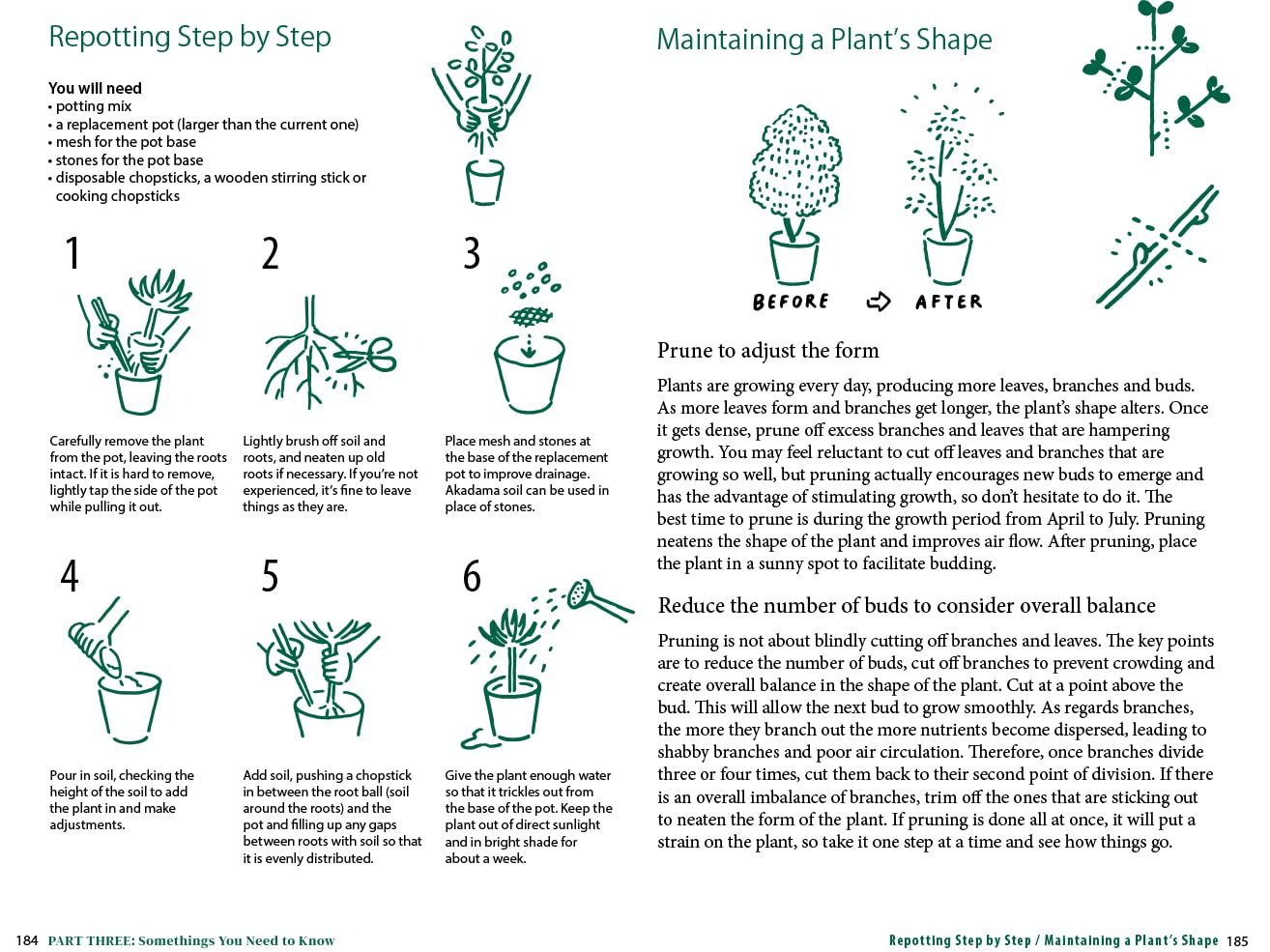 A Beginner's Guide to House Plants: Creating Beautiful and Healthy Green Spaces in Your Home