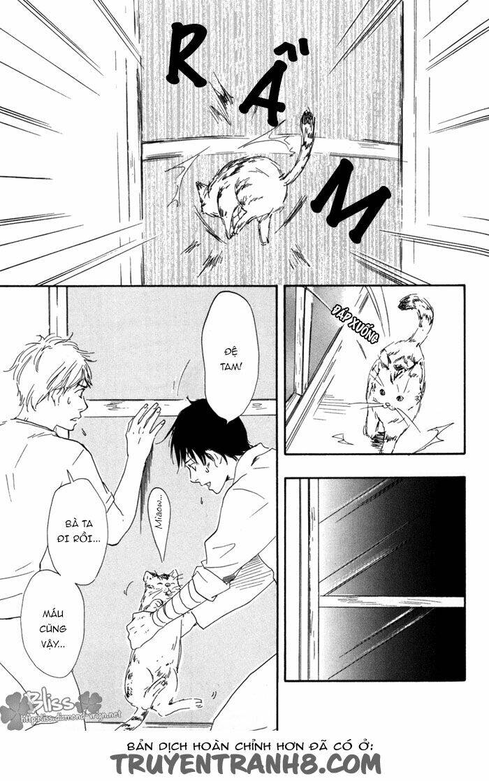 sugiru juunana no haru chapter 12 28