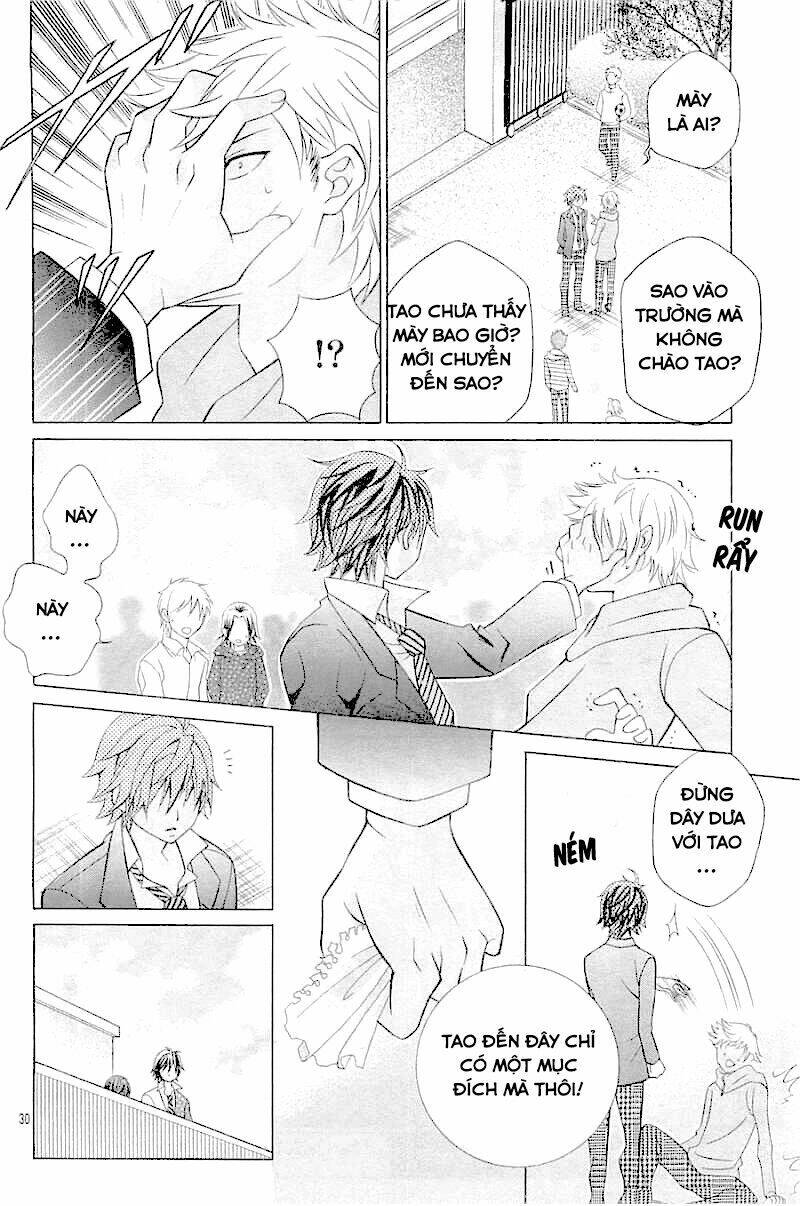 cuộc gặp gỡ diệu kỳ chapter 30 29