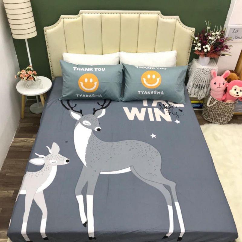 Bộ ga và 2 vỏ gối cotton 3D nhập khẩu