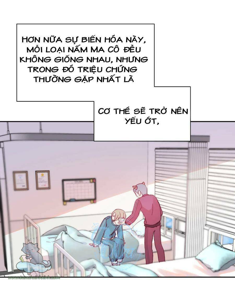 nhật ký nấm ma cô chapter 8 15