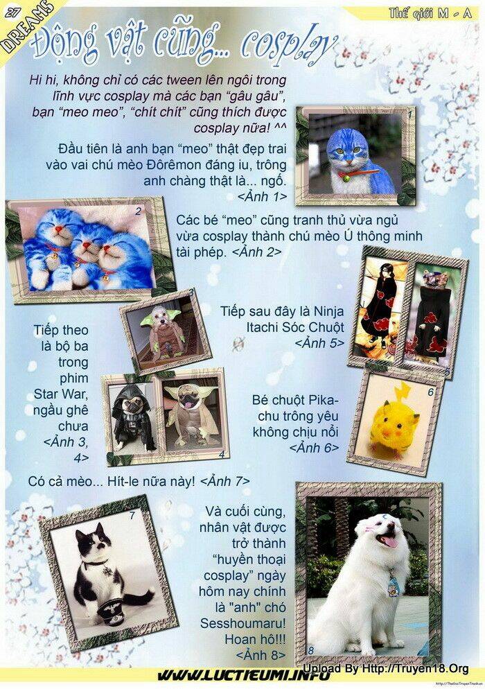 tạp chí dream chapter 9 29