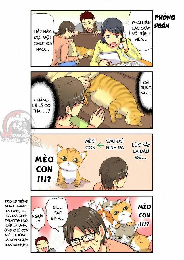 cat is silver vine chapter 12 3