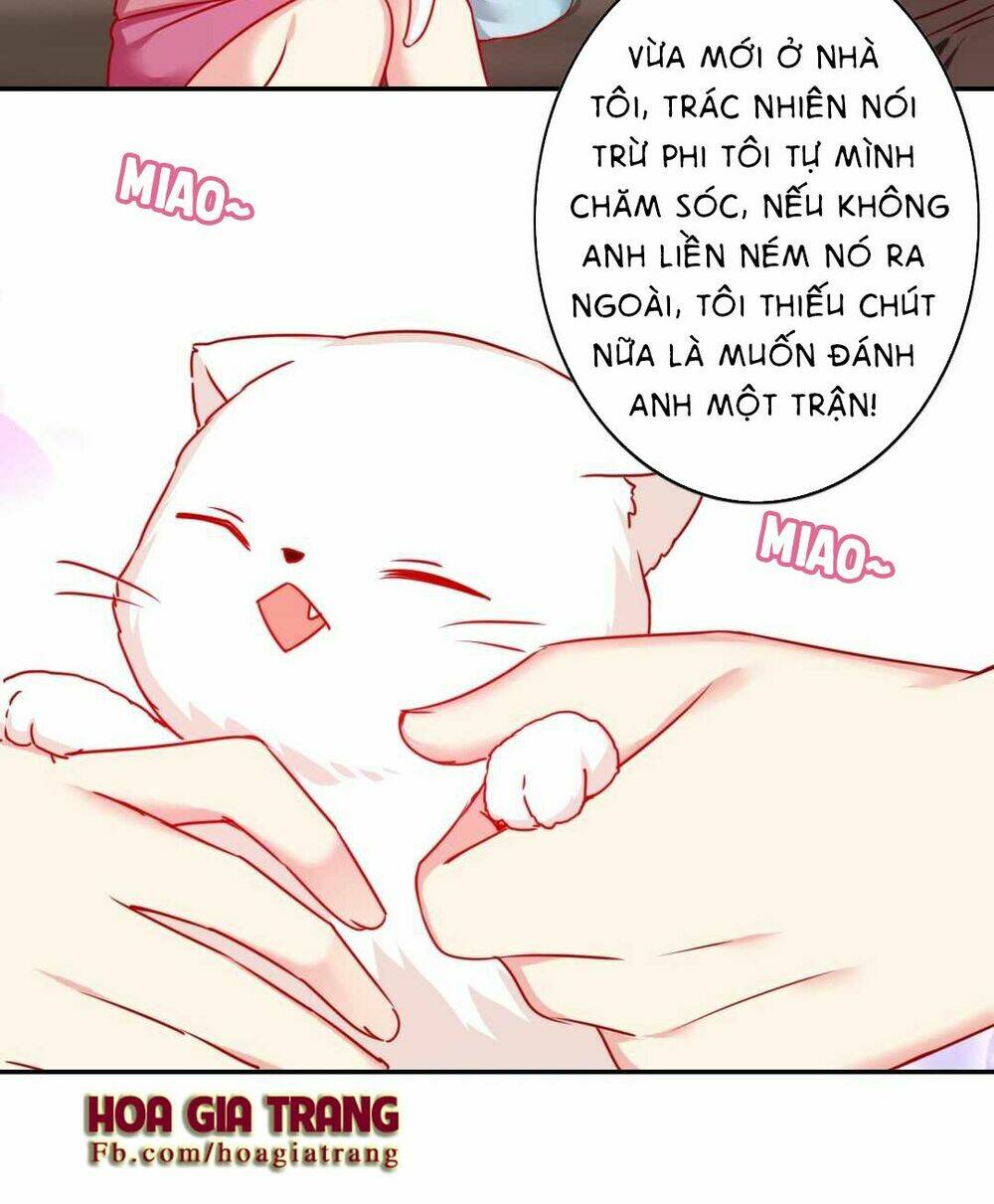 phục thù thiếu gia tiểu điềm thê chapter 15 4