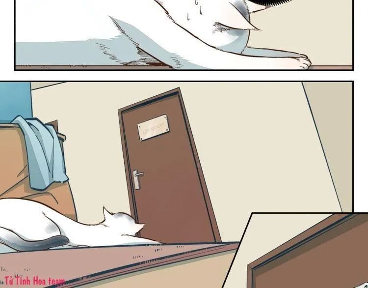 thời khắc ấy, chúng ta gặp nhau chapter 13 22