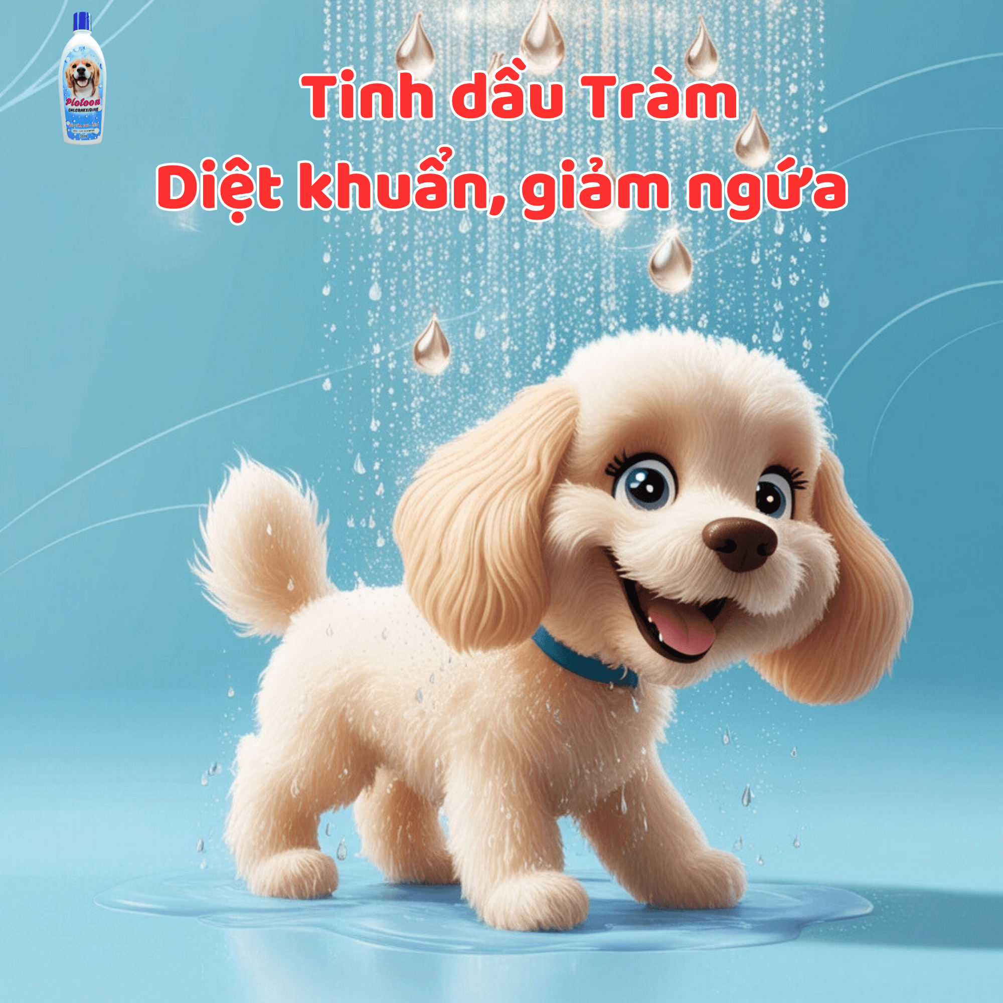 Dầu Tắm Plotoon Chlorhexidine 300ml