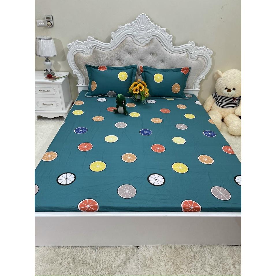 Bộ ga chun trơn và 2 vỏ gối 100% cotton hàn các kích thước