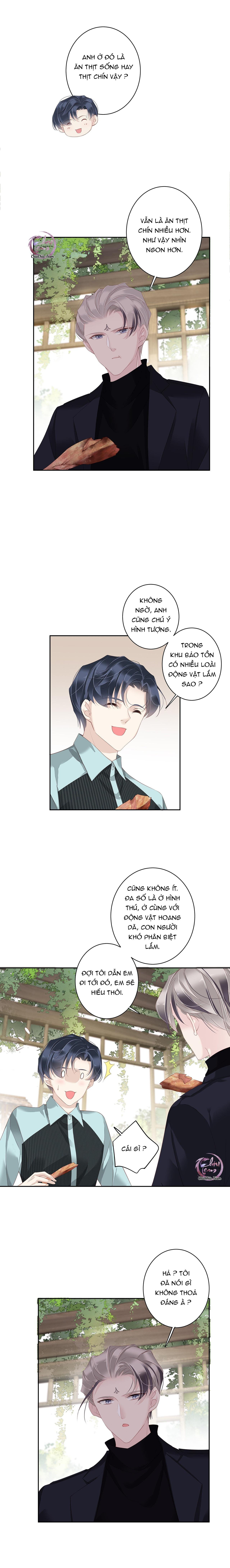 cuộc mai mối vượt giống loài chapter 16 8