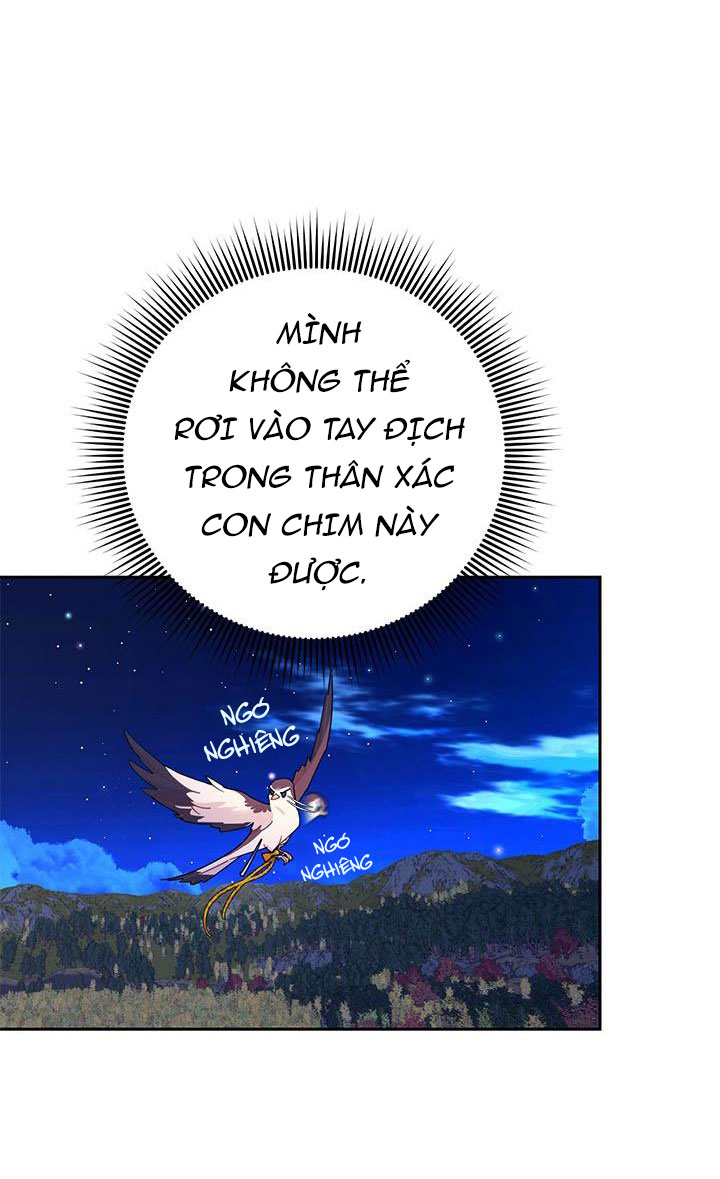 công chúa của loài chim chapter 38.1 6