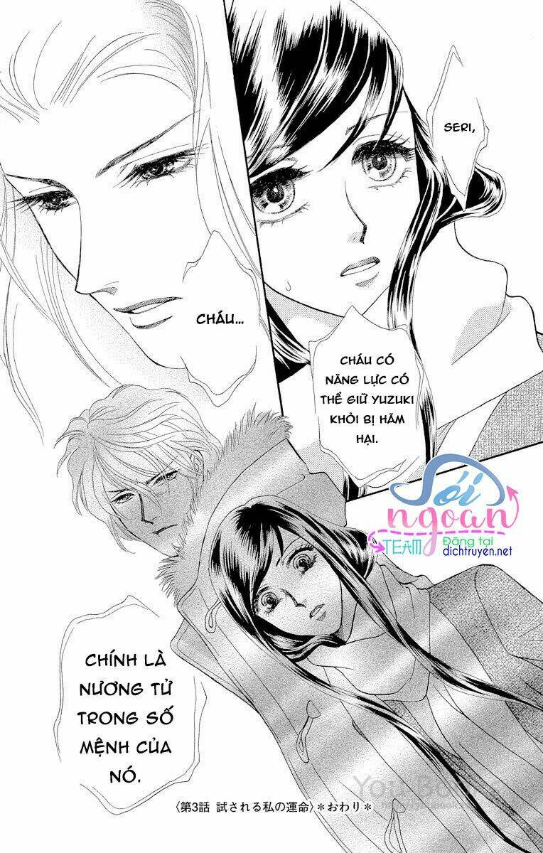 đóa hồng dành tặng seri chapter 3 34